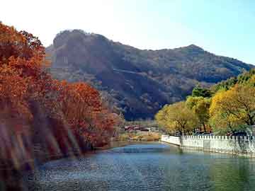 澳门天天好好免费资料，山寨机报价